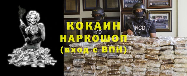 прущий лед Алзамай