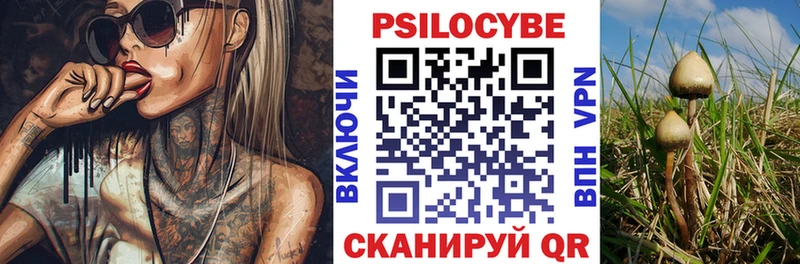 МЕГА зеркало  наркошоп  Североуральск  Галлюциногенные грибы GOLDEN TEACHER 
