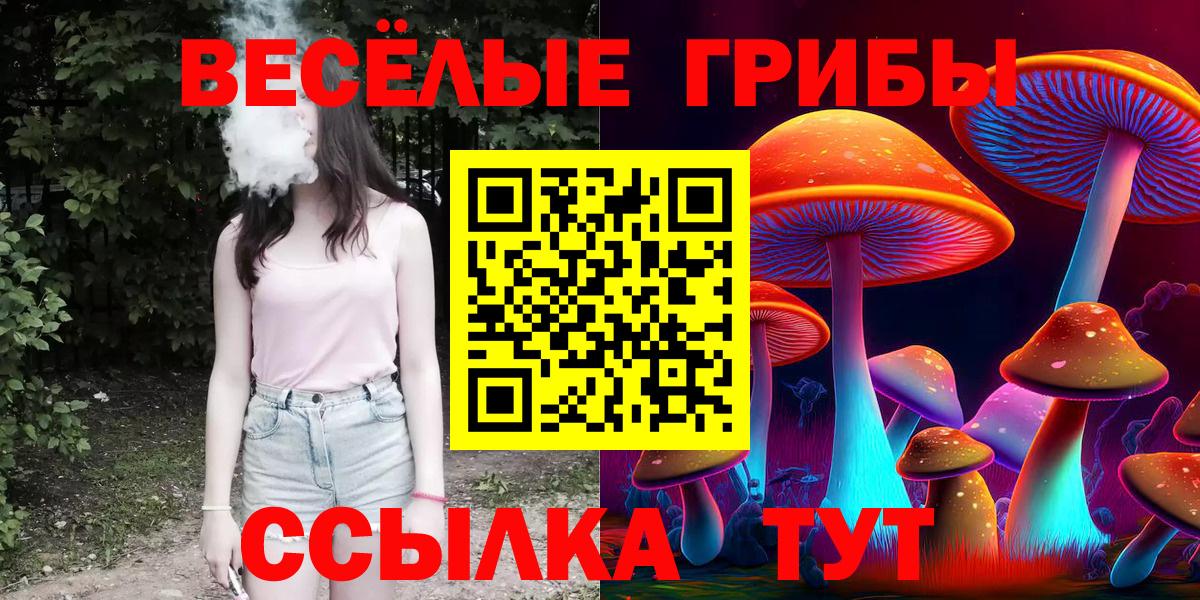 Галлюциногенные грибы Psilocybine cubensis  Вход с VPN  Североуральск  Псилоцибиновые грибы мухоморы 